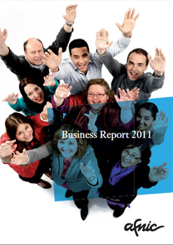 Visuel Business Report 2011