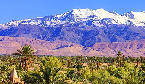 Photo Mountains palm trees