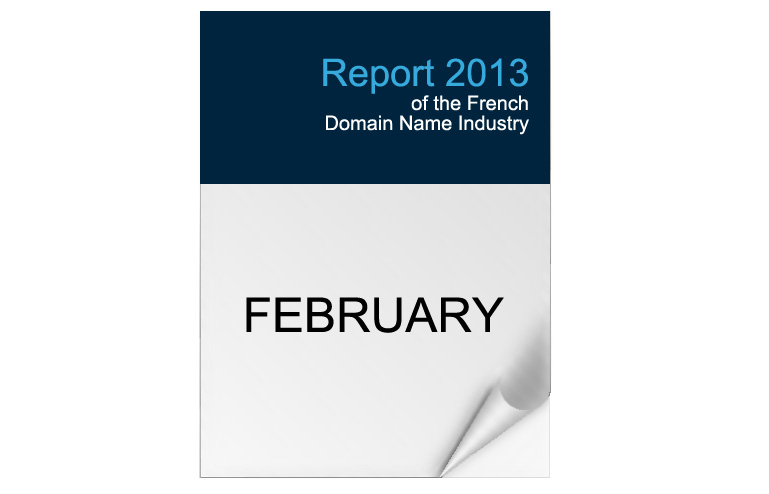 2013 Edition - French Domain Industry Report