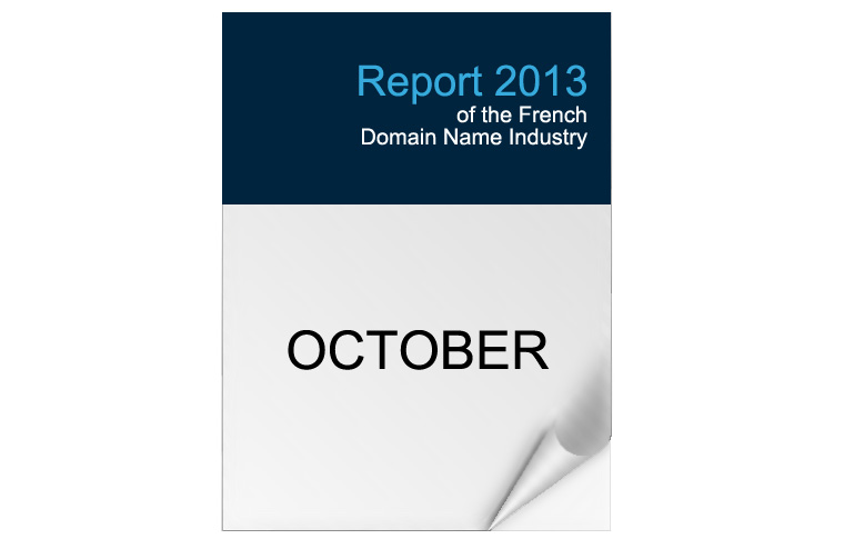 2013 Edition - French Domain Industry Report