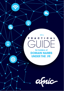 Guide domain name holder