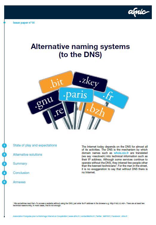 Issue paper on Alternative Naming Systems to the DNS