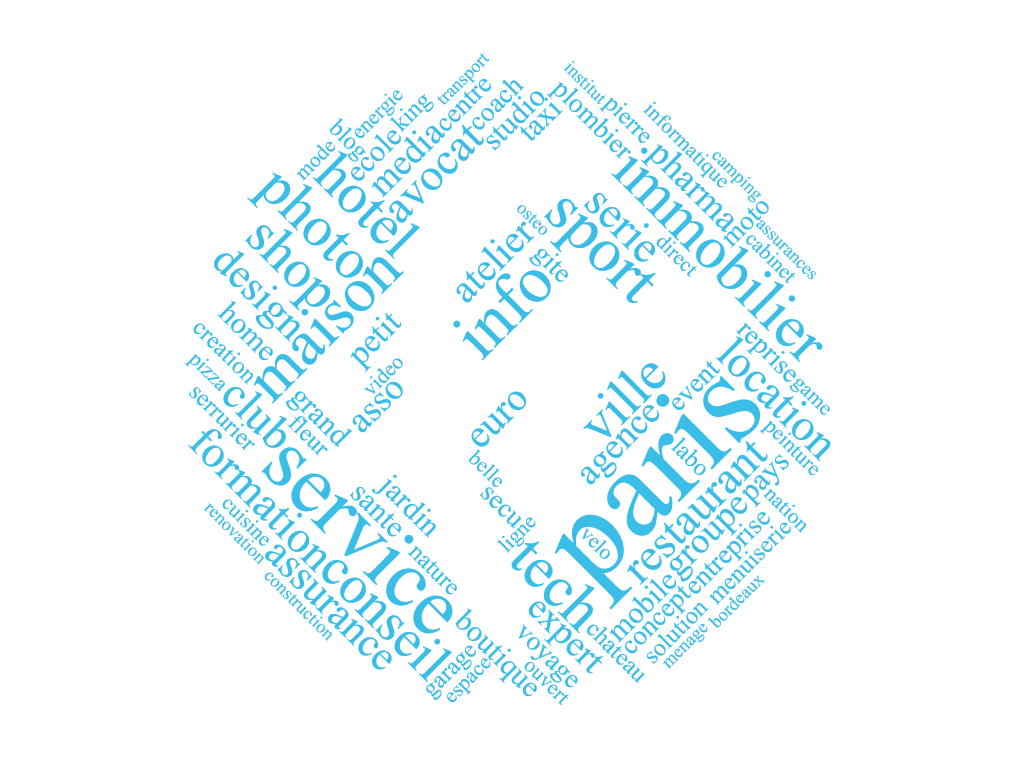 Visuel - Les termes les plus utilisés dans les noms de domaine en .fr