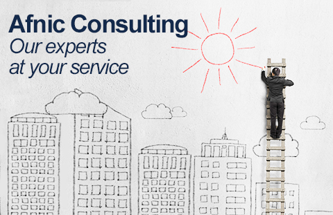 Consultancy and Expertise by Afnic