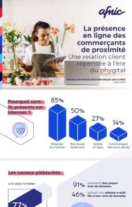 Ingographie Présence en ligne des commerces de proximité