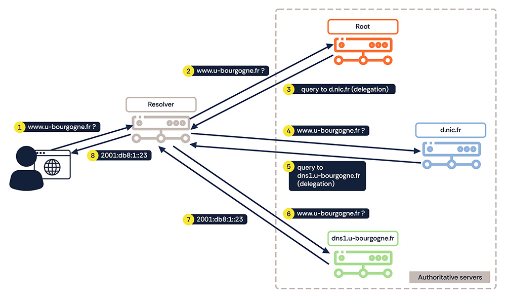 DNS-resolution-web